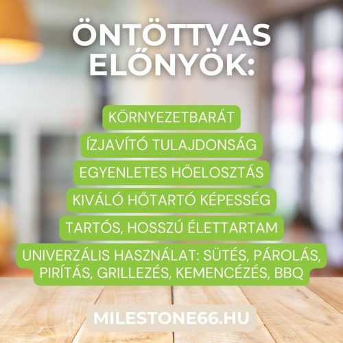 Milestone66 Cast iron ribbed grill pan