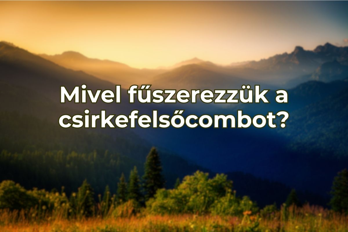 Mivel fűszerezzük a csirkefelsőcombot?